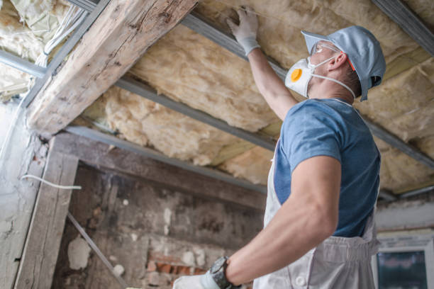 Best DIY Insulation Kits and Guidance in Woodlands, CA