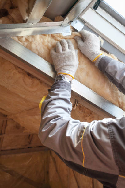 Best Eco-Friendly Insulation in Woodlands, CA