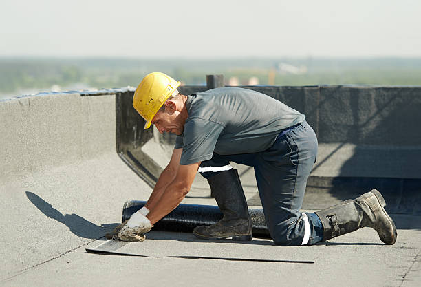 Best Geographic-Specific Insulation Services in Woodlands, CA