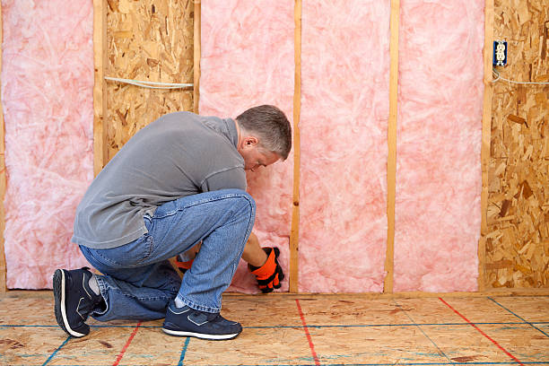 Types of Insulation We Offer in Woodlands, CA